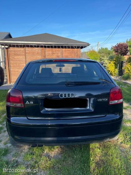 Audi A3 8P 2007