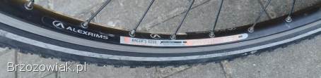 Rower trekking CENTURION Cross Line 300 48 cm Deore koła 28