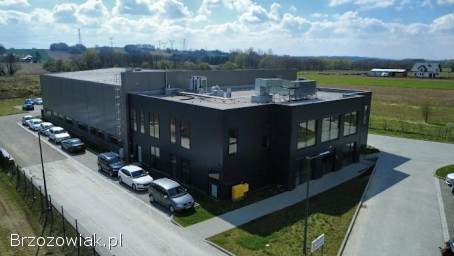 Magazynier z uprawnieniami na wózek widłowy