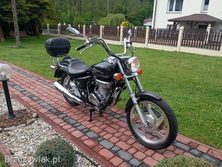 Daelim VT Custom  1998