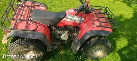 Honda TRX 300 2000