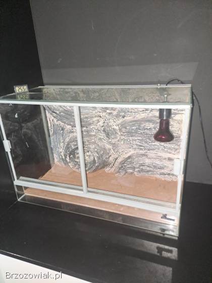 Terrarium