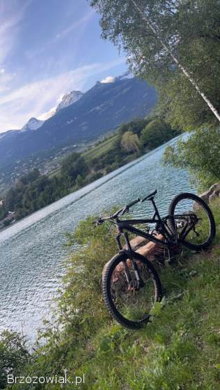 Rower Felt Compulsion M 27.  5