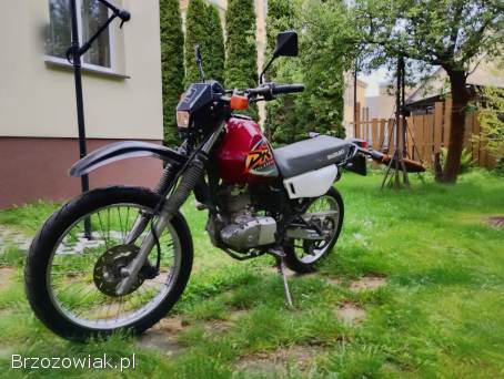 Suzuki DR 125 kat b  2001
