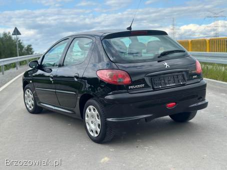 Peugeot 206 1.  4 Benzyna  2009