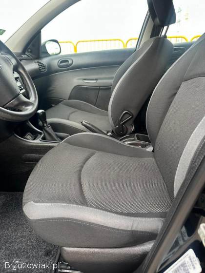 Peugeot 206 1.  4 Benzyna  2009