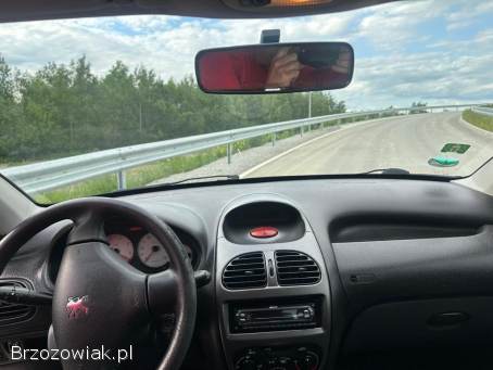 Peugeot 206 1.  4 Benzyna  2009