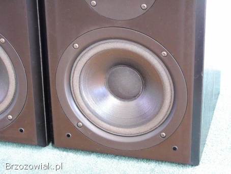 Kolumny Kendo Status Line świetne monitory stereo.  DOSTAWA