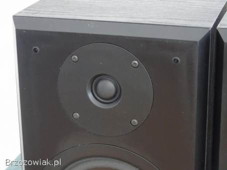 Kolumny Kendo Status Line świetne monitory stereo.  DOSTAWA