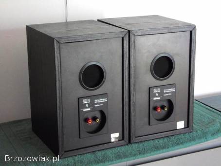 Kolumny Kendo Status Line świetne monitory stereo.  DOSTAWA