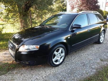Audi A4 B7 2007