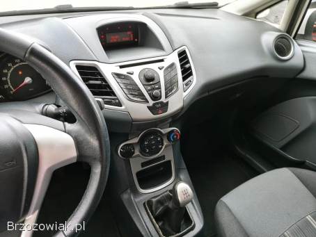 Ford Fiesta Zarejestrowany!   2009