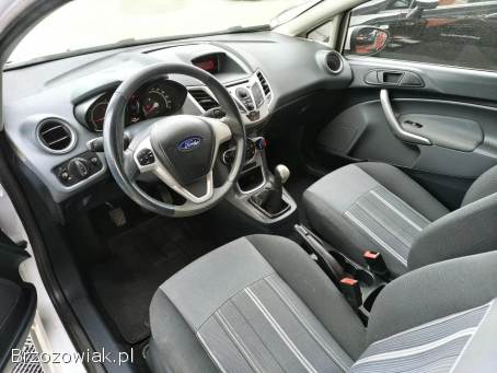 Ford Fiesta Zarejestrowany!   2009