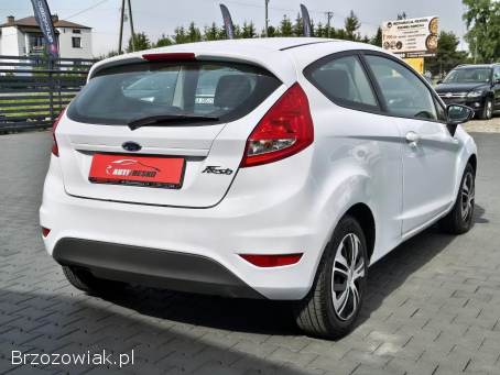 Ford Fiesta Zarejestrowany!   2009