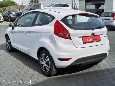 Ford Fiesta Zarejestrowany!   2009