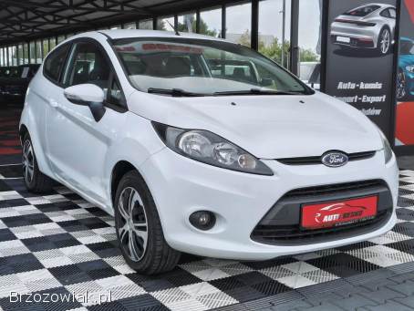 Ford Fiesta Zarejestrowany!   2009