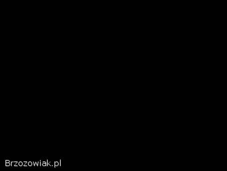 Rower dziewczęcy koła 16