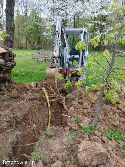 Mini Koparka Takeuchi Tb 016