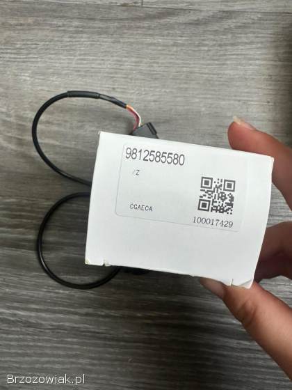 Oryginalna kamera cofania Citroen C4 Cactus 9812585580