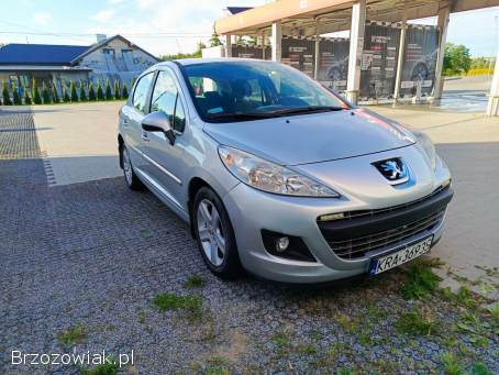 Peugeot 207 2010