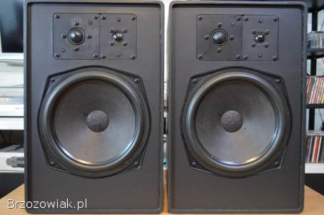 Niespotykane CANTON Fonum PC 60 Dynamika i Krystaliczne Analogowe Brzmienie Wysy