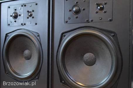 Niespotykane CANTON Fonum PC 60 Dynamika i Krystaliczne Analogowe Brzmienie Wysy