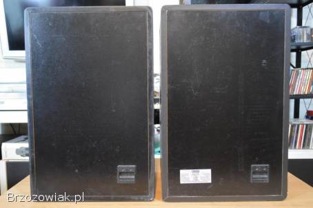 Niespotykane CANTON Fonum PC 60 Dynamika i Krystaliczne Analogowe Brzmienie Wysy