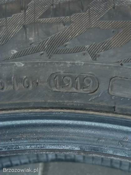 Cztery zimowe opony Nokian 225/50/18
