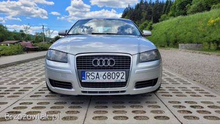 Audi A3 8P 2005