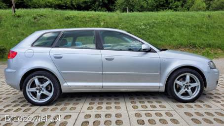 Audi A3 8P 2005