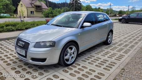 Audi A3 8P 2005