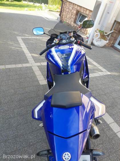 Yamaha YZF-R R6 2013