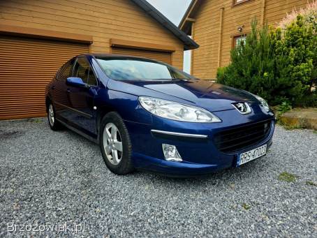 Peugeot 407 2004
