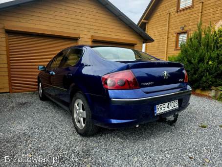 Peugeot 407 2004