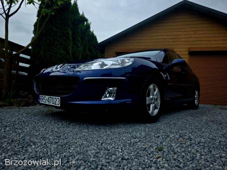 Peugeot 407 2004