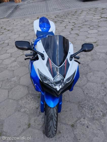 Suzuki GSX R600 2009