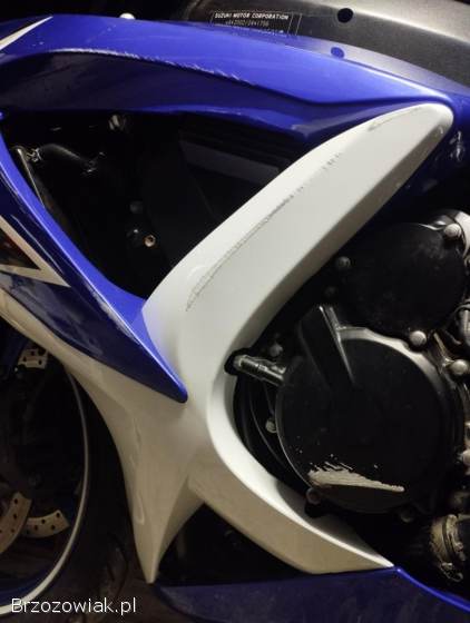 Suzuki GSX R600 2009