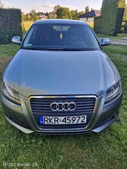 Audi A3 8P 2008