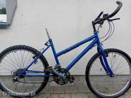 Rower koła 24