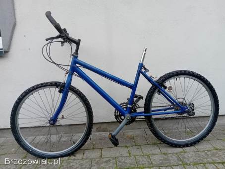 Rower koła 24