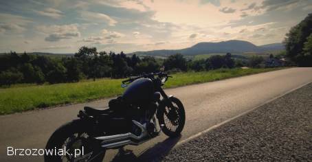 Yamaha Virago 535 1993