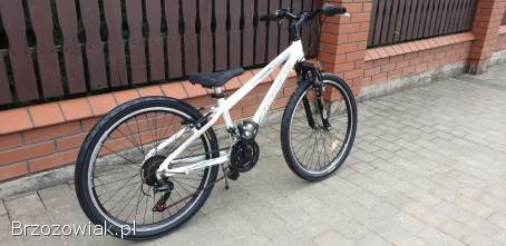 Rower Arkus 24 cale cena 499 zl