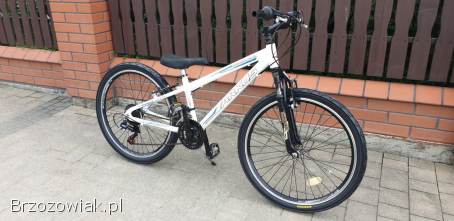 Rower Arkus 24 cale cena 499 zl