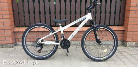 Rower Arkus 24 cale cena 499 zl