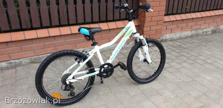 Rower Kross 20 cali Stan jak nowy Cena 699 zl