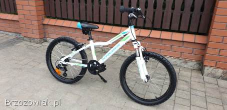 Rower Kross 20 cali Stan jak nowy Cena 699 zl