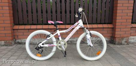 Rower Kross 20 cali cena 599 zl