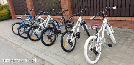 Rowerki 20 cali ceny do 600 zl