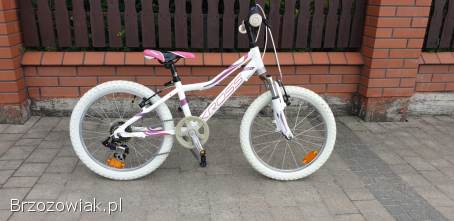 Rowerki 20 cali ceny do 600 zl