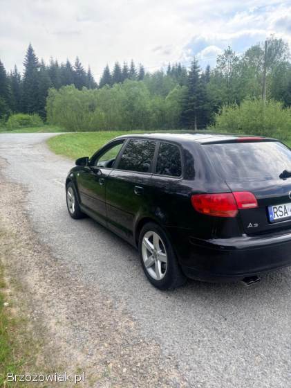 Audi A3 8P 2006